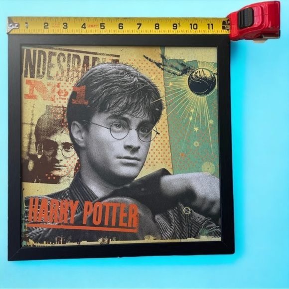 HARRY POTTER Framed Print, UNDESIRABLE No 1, Golden Snitch, Wizarding World HP - Picture 3 of 3